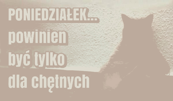 Gruby rudy kot w poniedziałek